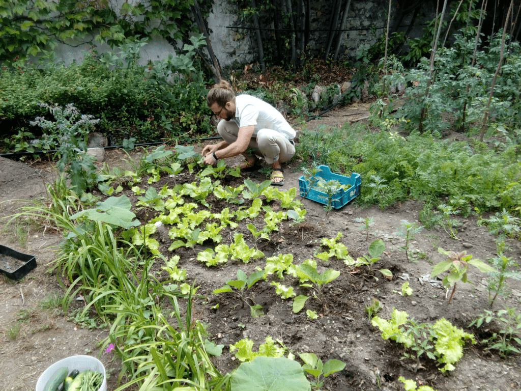 le P. Garrett Gundlach sj prend soin du potager de la communauté jésuite de Vanves